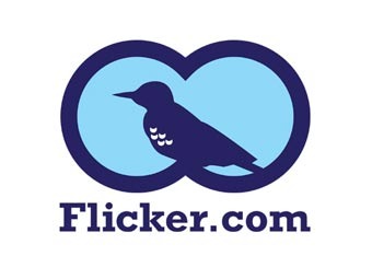 Yahoo!   Flicker.com