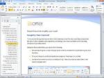 Microsoft    Office 2010